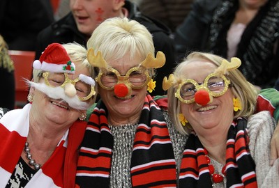 291114 - Wales v South Africa - Dove Men Series - Fans enjoy the games atmosphere 