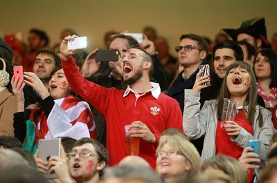 291114 - Wales v South Africa - Dove Men Series - Fans enjoy the games atmosphere 