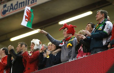 291114 - Wales v South Africa - Dove Men Series - Fans enjoy the games atmosphere 