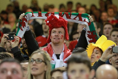 291114 - Wales v South Africa - Dove Men Series - Fans enjoy the games atmosphere 