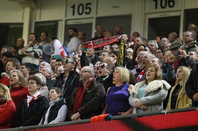 291114 - Wales v South Africa - Dove Men Series - Fans enjoy the games atmosphere 