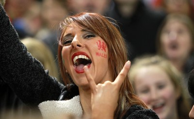 291114 - Wales v South Africa - Dove Men Series - Fans enjoy the games atmosphere 