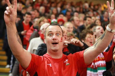 291114 - Wales v South Africa - Dove Men Series - Fans enjoy the games atmosphere 