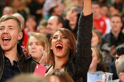 291114 - Wales v South Africa - Dove Men Series - Fans enjoy the games atmosphere 