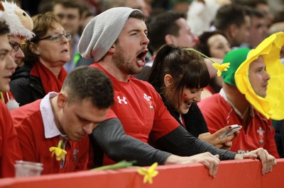 291114 - Wales v South Africa - Dove Men Series - Fans enjoy the games atmosphere 