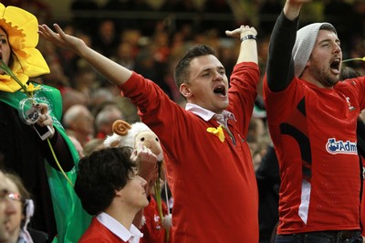 291114 - Wales v South Africa - Dove Men Series - Fans enjoy the games atmosphere 