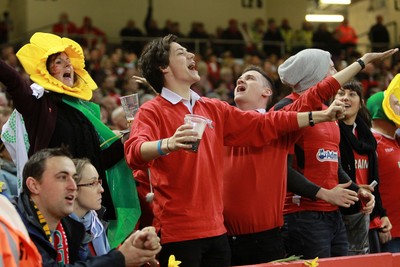 291114 - Wales v South Africa - Dove Men Series - Fans enjoy the games atmosphere 