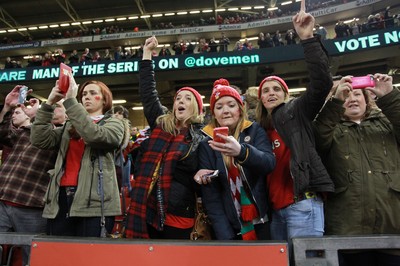 291114 - Wales v South Africa - Dove Men Series - Fans enjoy the games atmosphere 