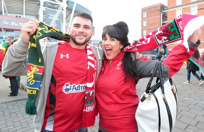 291114 - Wales v South Africa - Dove Men Series - Fans enjoy the games atmosphere 