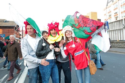 291114 - Wales v South Africa - Dove Men Series - Fans enjoy the games atmosphere 