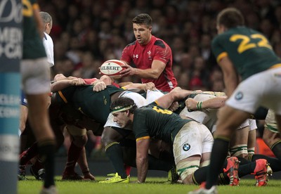 291114 - Wales v South Africa - Dove Men Series - Rhys Webb of Wales