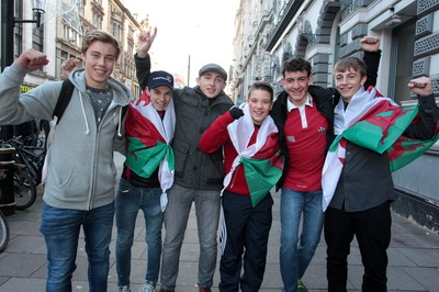 291114 - Wales v South Africa - Dove Men Series - Fans enjoy the games atmosphere outside the stadium 