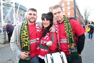 291114 - Wales v South Africa - Dove Men Series - Fans enjoy the games atmosphere outside the stadium 