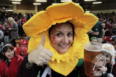 291114 - Wales v South Africa - Dove Men Series - Fans enjoy the games atmosphere 