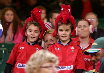 291114 - Wales v South Africa - Dove Men+Care Series -Fans of Wales enjoy the game