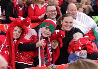 291114 - Wales v South Africa - Dove Men+Care Series -Fans of Wales enjoy the game