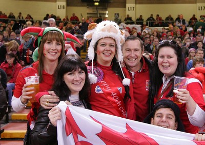 291114 - Wales v South Africa - Dove Men+Care Series -Fans of Wales enjoy the game