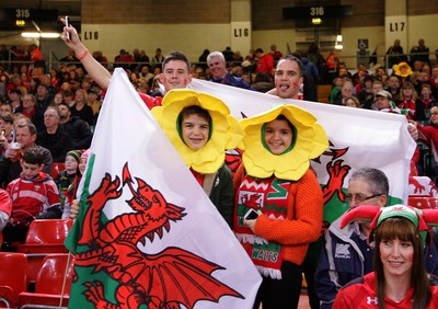 291114 - Wales v South Africa - Dove Men+Care Series -Fans of Wales enjoy the game