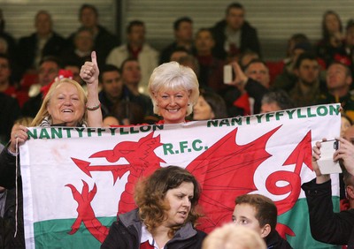 291114 - Wales v South Africa - Dove Men+Care Series -Fans of Wales enjoy the game