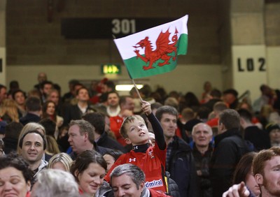 291114 - Wales v South Africa - Dove Men+Care Series -Fans of Wales enjoy the game