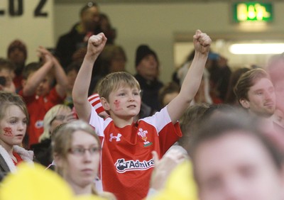 291114 - Wales v South Africa - Dove Men+Care Series -Fans of Wales enjoy the game