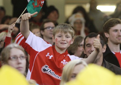 291114 - Wales v South Africa - Dove Men+Care Series -Fans of Wales enjoy the game