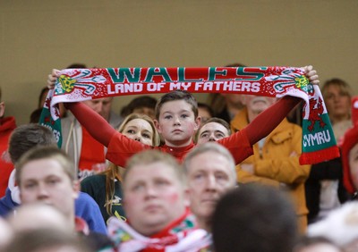 291114 - Wales v South Africa - Dove Men+Care Series -Fans of Wales enjoy the game