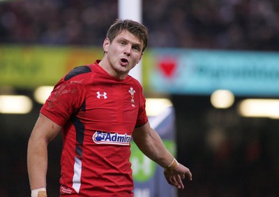 291114 - Wales v South Africa - Dove Men+Care Series -Dan Biggar of Wales directs matters