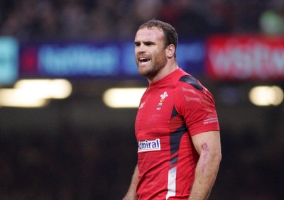 291114 - Wales v South Africa - Dove Men+Care Series -Jamie Roberts of Wales