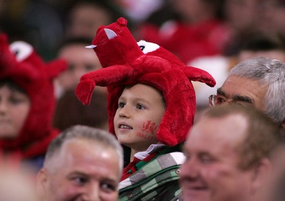 291114 - Wales v South Africa - Dove Men+Care Series -fans of Wales enjoy the game