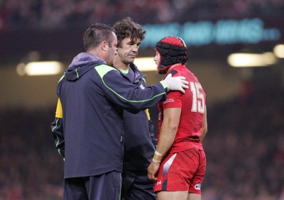 291114 - Wales v South Africa - Dove Men+Care Series -Leigh Halfpenny of Wales receives treatment