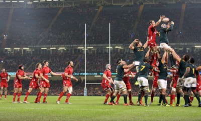 291114 - Wales v South Africa, Dove Men Series 2014, Cardiff - Wales commit the backs to the line out as they look to win the ball