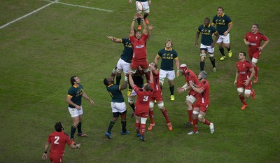 291114 - Wales v South Africa, Dove Men Series 2014, Cardiff - Taulupe Faletau of Wales looks to win line out