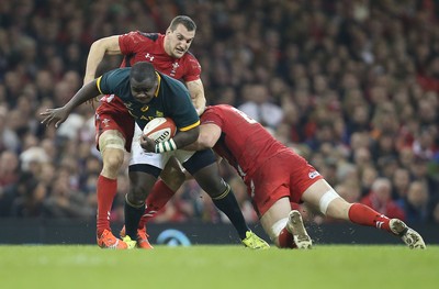 291114 - Wales v South Africa, Dove Men Series 2014, Cardiff - Trevor Nyakane of South Africa is tackled by Dan Lydiate of Wales and Sam Warburton of Wales  