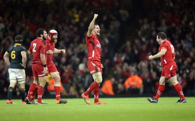 291114 - Wales v South Africa, Dove Men Series 2014, Cardiff - Sam Warburton of Wales celebrates as the final whistle is blown