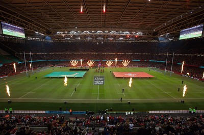 291114 - Wales v South Africa, Dove Men Series 2014, Cardiff - General view of the Millennium Stadium as the teams line up before the match