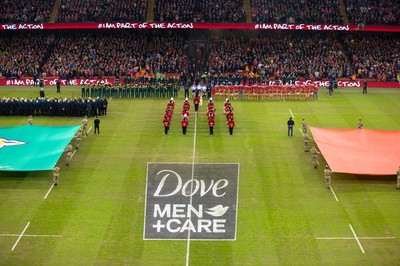 291114 - Wales v South Africa, Dove Men Series 2014, Cardiff - General view of the Millennium Stadium during the match