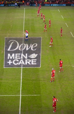 291114 - Wales v South Africa, Dove Men Series 2014, Cardiff - General view of the Millennium Stadium during the match