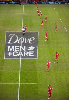 291114 - Wales v South Africa, Dove Men Series 2014, Cardiff - General view of the Millennium Stadium during the match