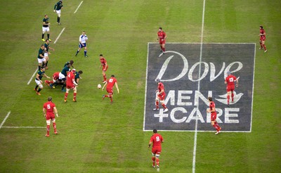 291114 - Wales v South Africa, Dove Men Series 2014, Cardiff - General view of the Millennium Stadium during the match