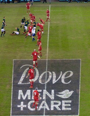 291114 - Wales v South Africa, Dove Men Series 2014, Cardiff - General view of the Millennium Stadium during the match