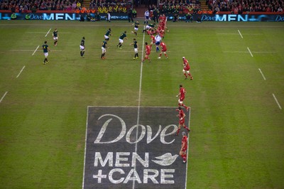 291114 - Wales v South Africa, Dove Men Series 2014, Cardiff - General view of the Millennium Stadium during the match