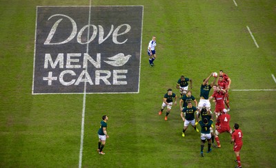 291114 - Wales v South Africa, Dove Men Series 2014, Cardiff - General view of the Millennium Stadium during the match