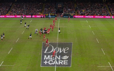 291114 - Wales v South Africa, Dove Men Series 2014, Cardiff - General view of the Millennium Stadium during the match