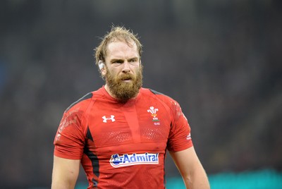 291114 - Wales v South Africa - Dove Men Series - Alun Wyn Jones of Wales