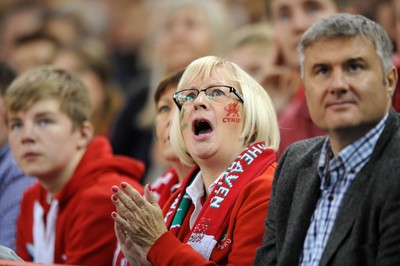 291114 - Wales v South Africa - Dove Men Series - Wales fans