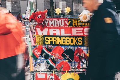 291125 - Wales v South Africa - Quilter Nations Series - Matchday colour in Cardiff City Centre ahead of the game 