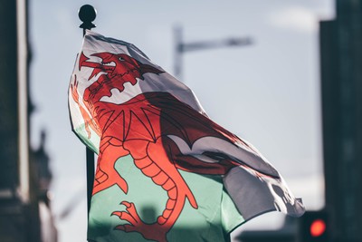 291125 - Wales v South Africa - Quilter Nations Series - Matchday colour in Cardiff City Centre ahead of the game 
