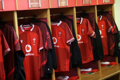 291125 - Wales v South Africa Springboks - Quilter Nations Series - General View of the dressing room before the game