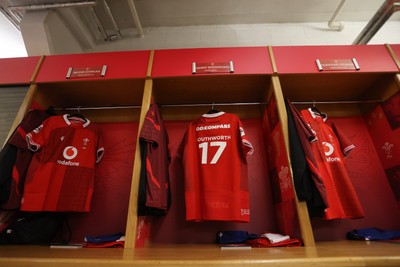 291125 - Wales v South Africa Springboks - Quilter Nations Series - Danny Southworth of Wales jersey in the dressing room before the game